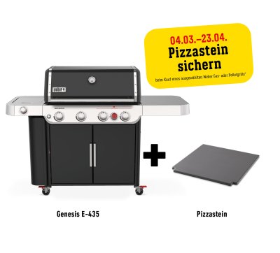 Weber Gasgrill Genesis E-435